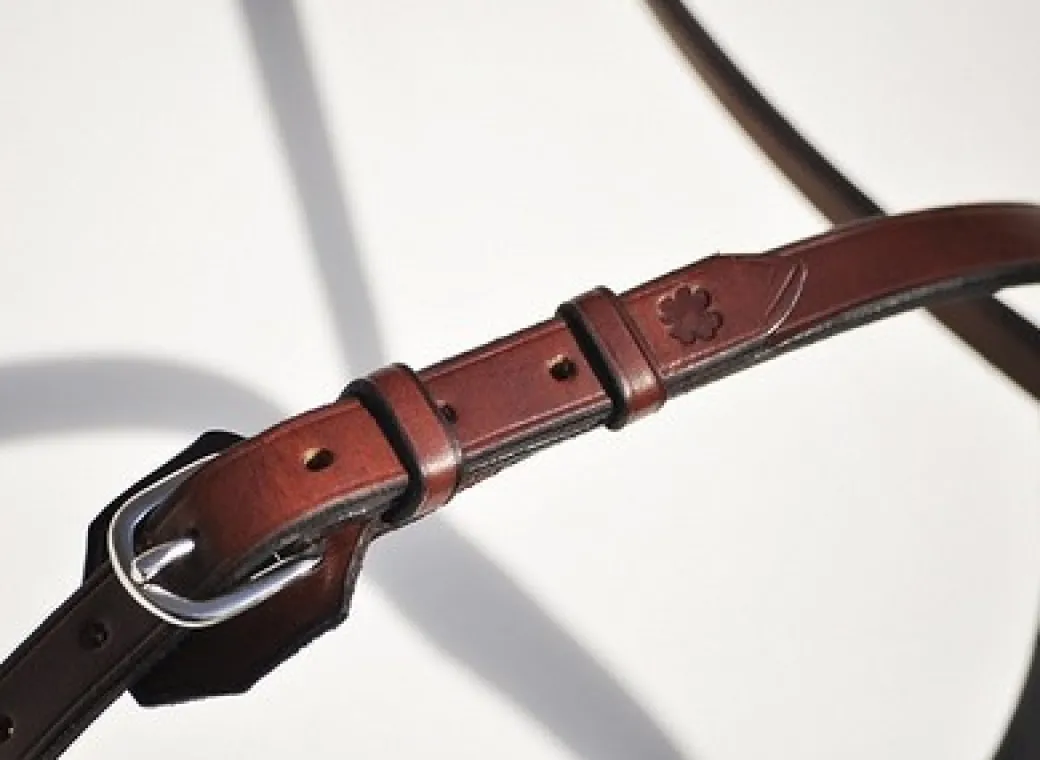 In Horse We Trust Flash Noseband with Crown