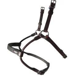In Horse We Trust Infinity Noseband