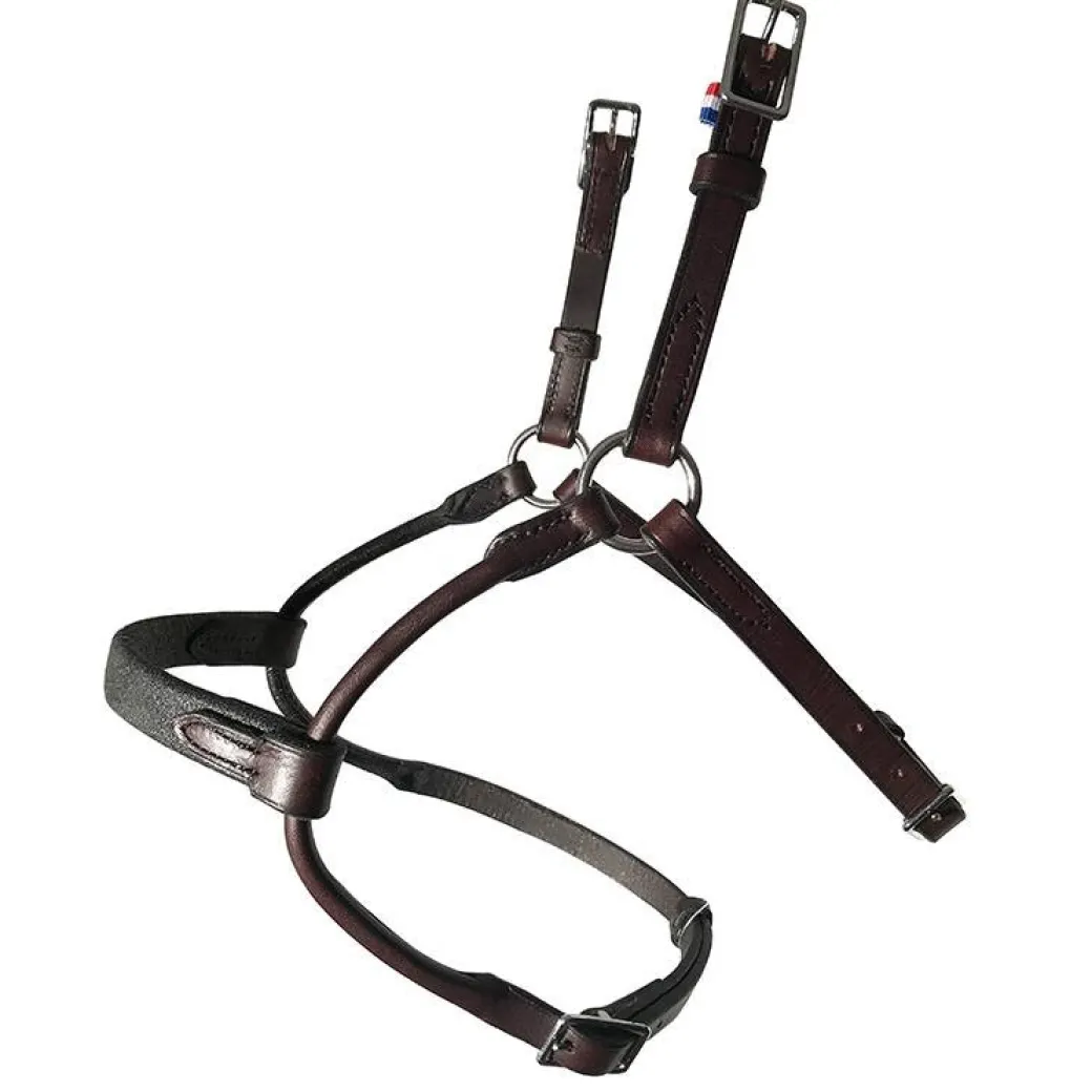 In Horse We Trust Infinity Noseband