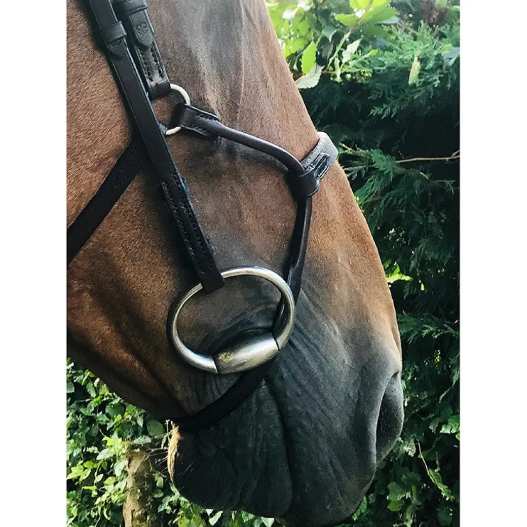 In Horse We Trust Infinity Noseband