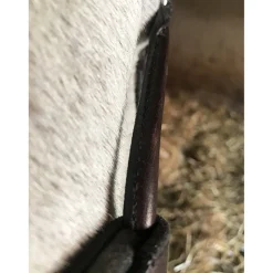 In Horse We Trust Infinity Noseband