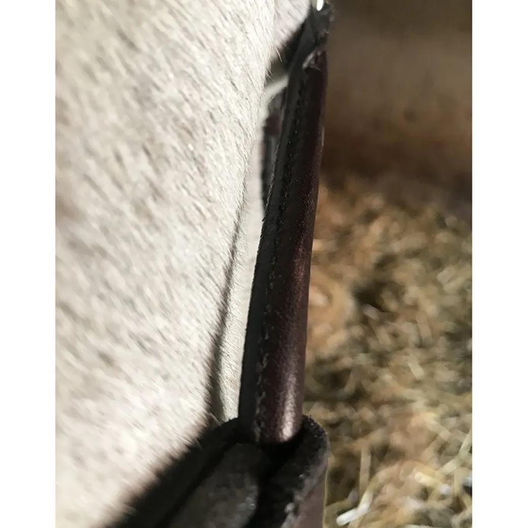 In Horse We Trust Infinity Noseband