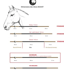 In Horse We Trust Reins Adjust Dressage