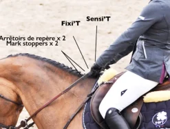 In Horse We Trust Reins Adjust