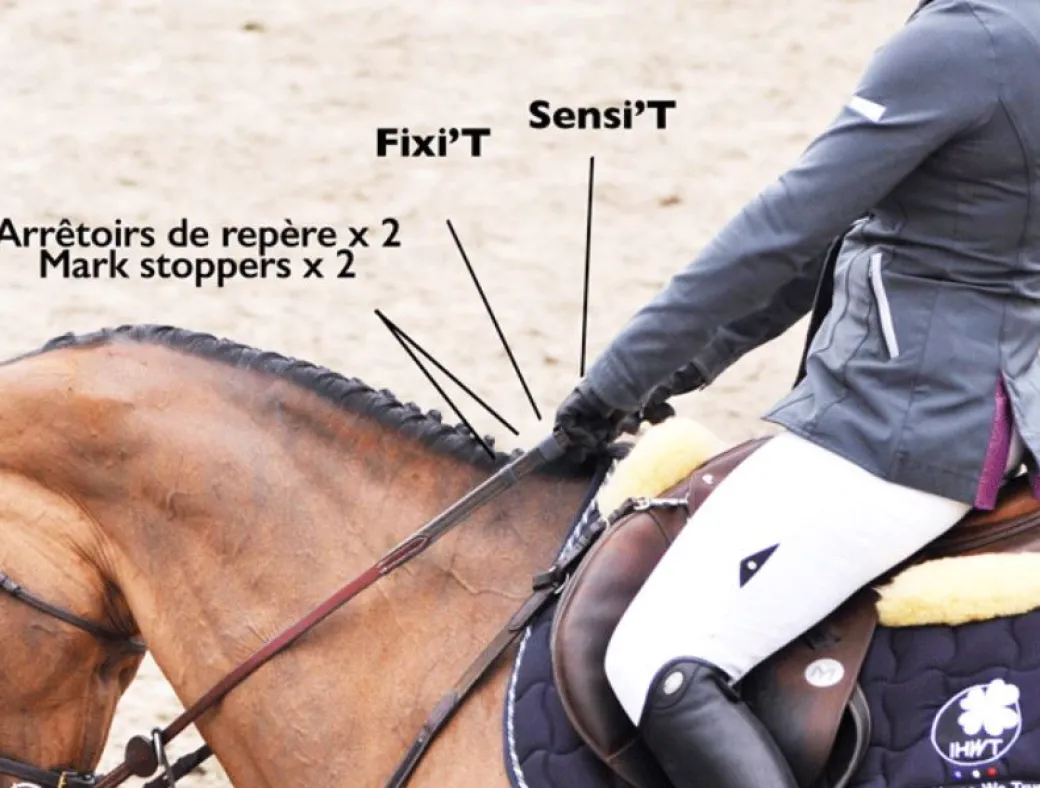 In Horse We Trust Reins Adjust