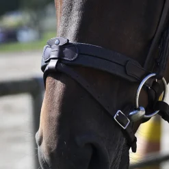 In Horse We Trust Soft T Contact Noseband w/ Flash