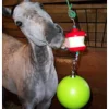Jolly Stall Snack Combo Horse Toy