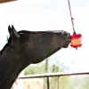 Jolly Stall Snack Holder