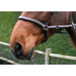 Jump'In Bitless Bridle