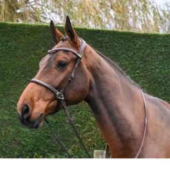Jump'In Bitless Bridle