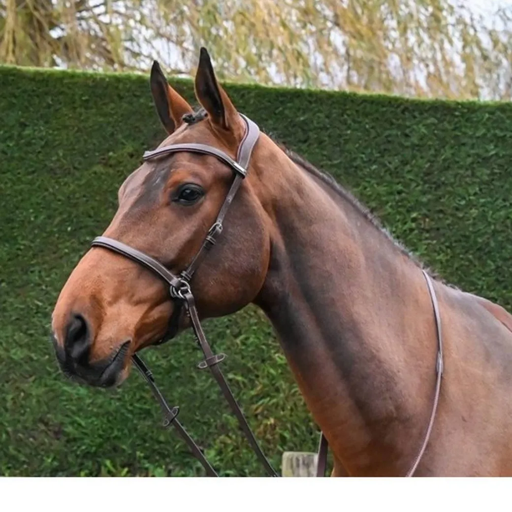 Jump'In Bitless Bridle