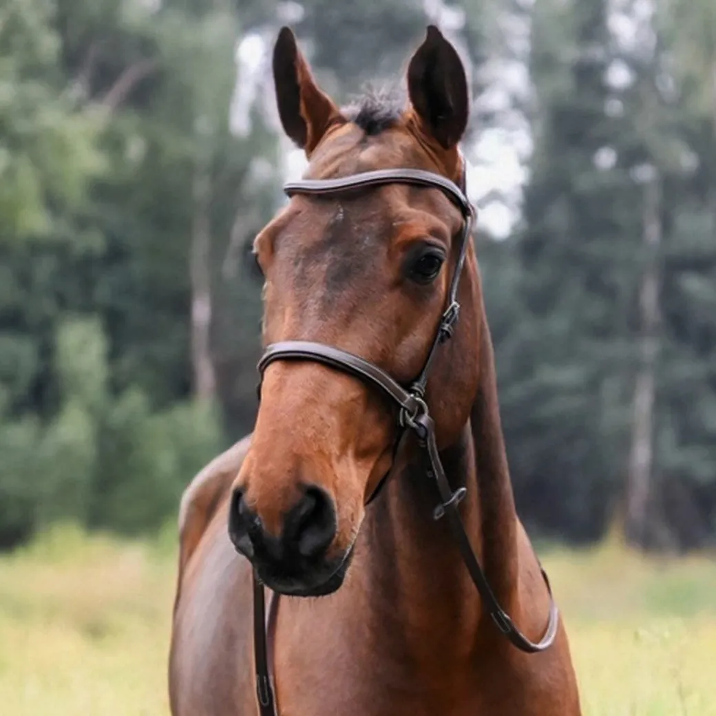 Jump'In Bitless Bridle