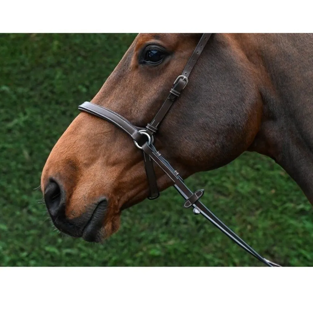 Jump'In Bitless Bridle