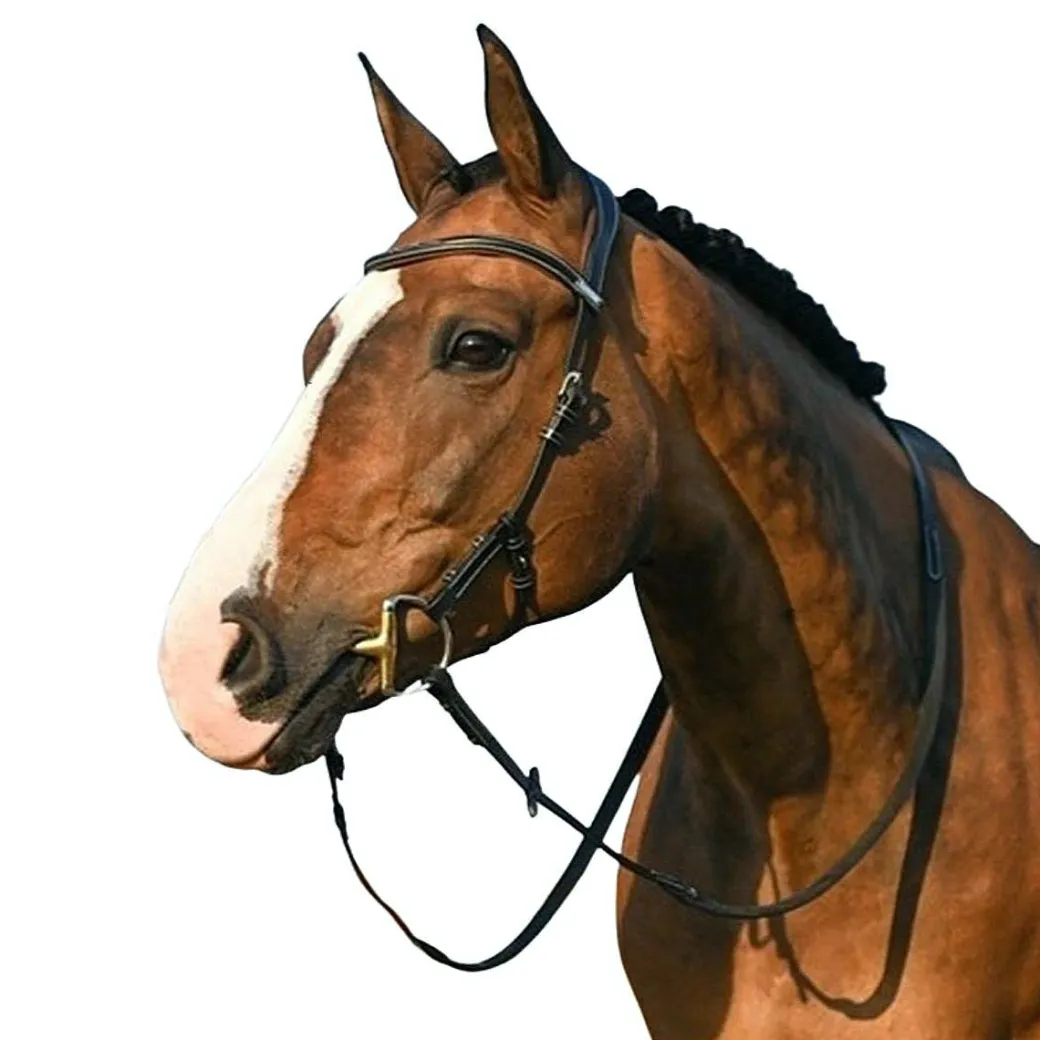 Jump'In Liberty Bridle