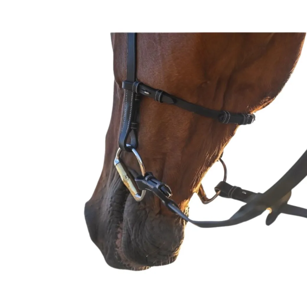 Jump'In Liberty Bridle