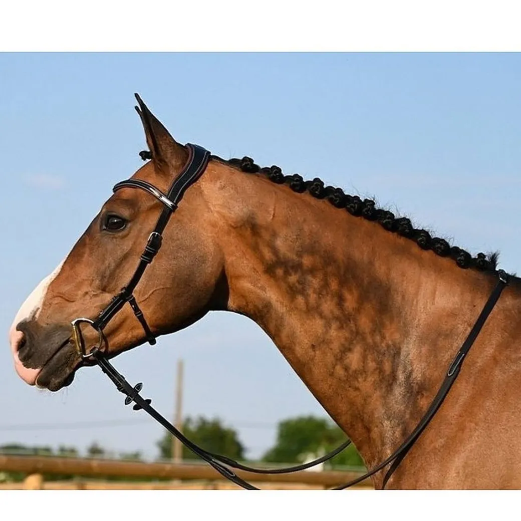 Jump'In Liberty Bridle