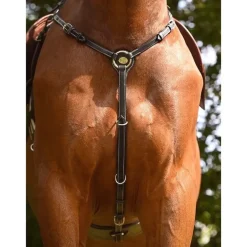 Jump'In Monday Breastplate