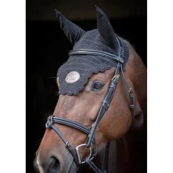 Jump'In Tuesday Flash Bridle