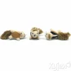 Junior Hide A Squirrel Dog Toy