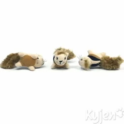 Junior Hide A Squirrel Dog Toy