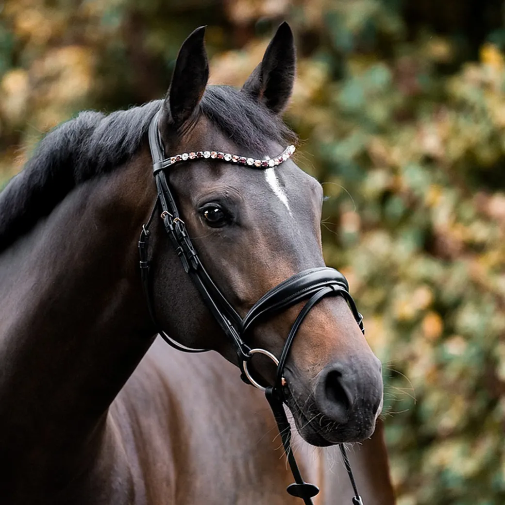 Kavalkade Burgundy Elastic Loop Browband