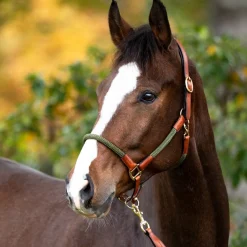 Kavalkade Cavo Rope Halter with Lead Rope