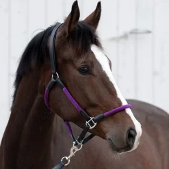 Kavalkade Cavo Rope Halter with Lead Rope