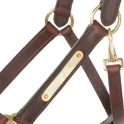 Kavalkade Cinta Halter with Brass Nameplate