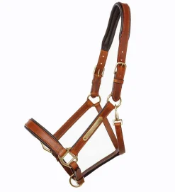 Kavalkade Cinta Halter with Brass Nameplate