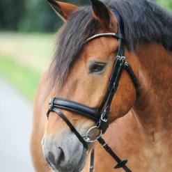 Kavalkade Clinchesse Snaffle Bridle