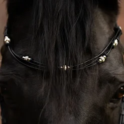 Kavalkade Cord Browbands