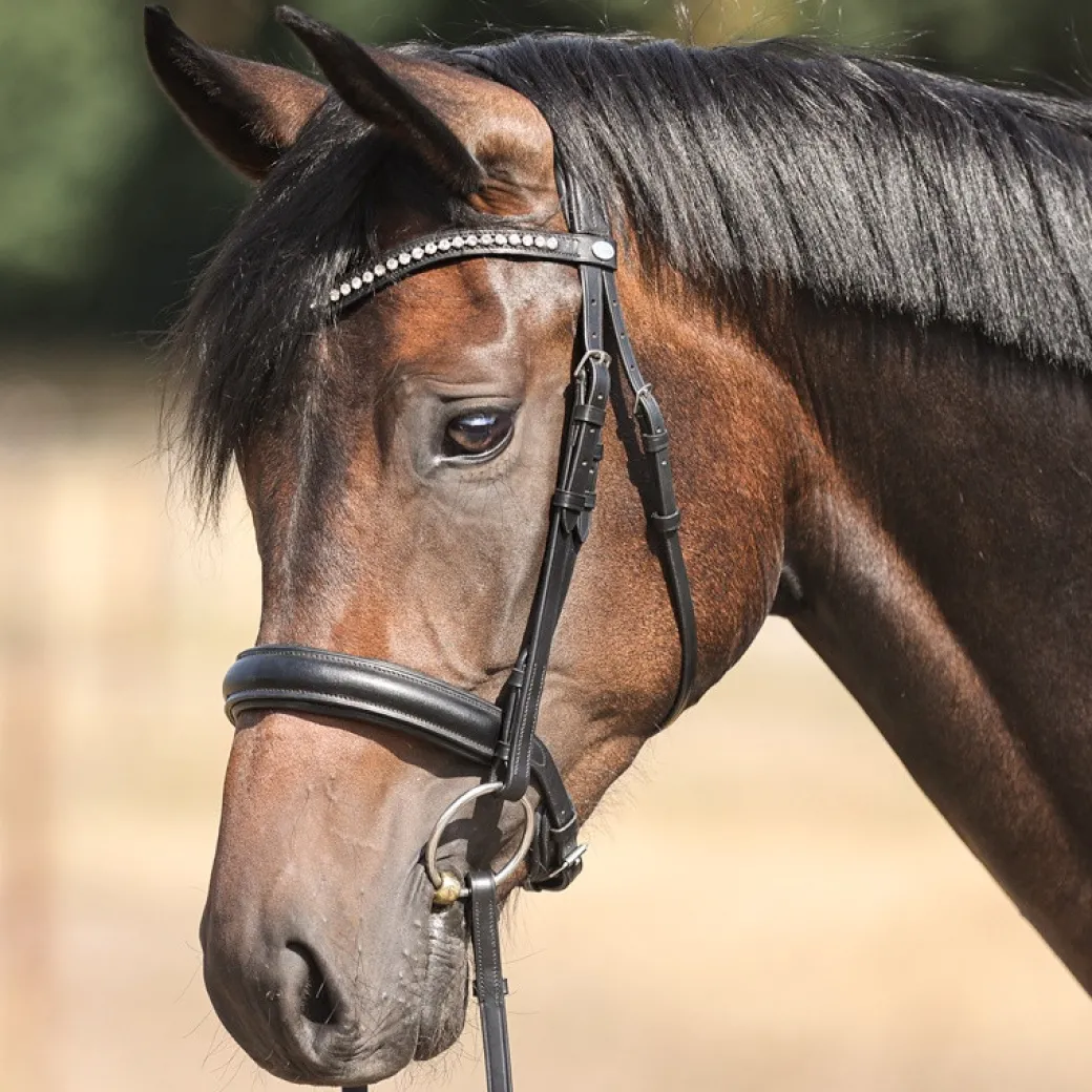 Kavalkade Diana Snaffle Bridle