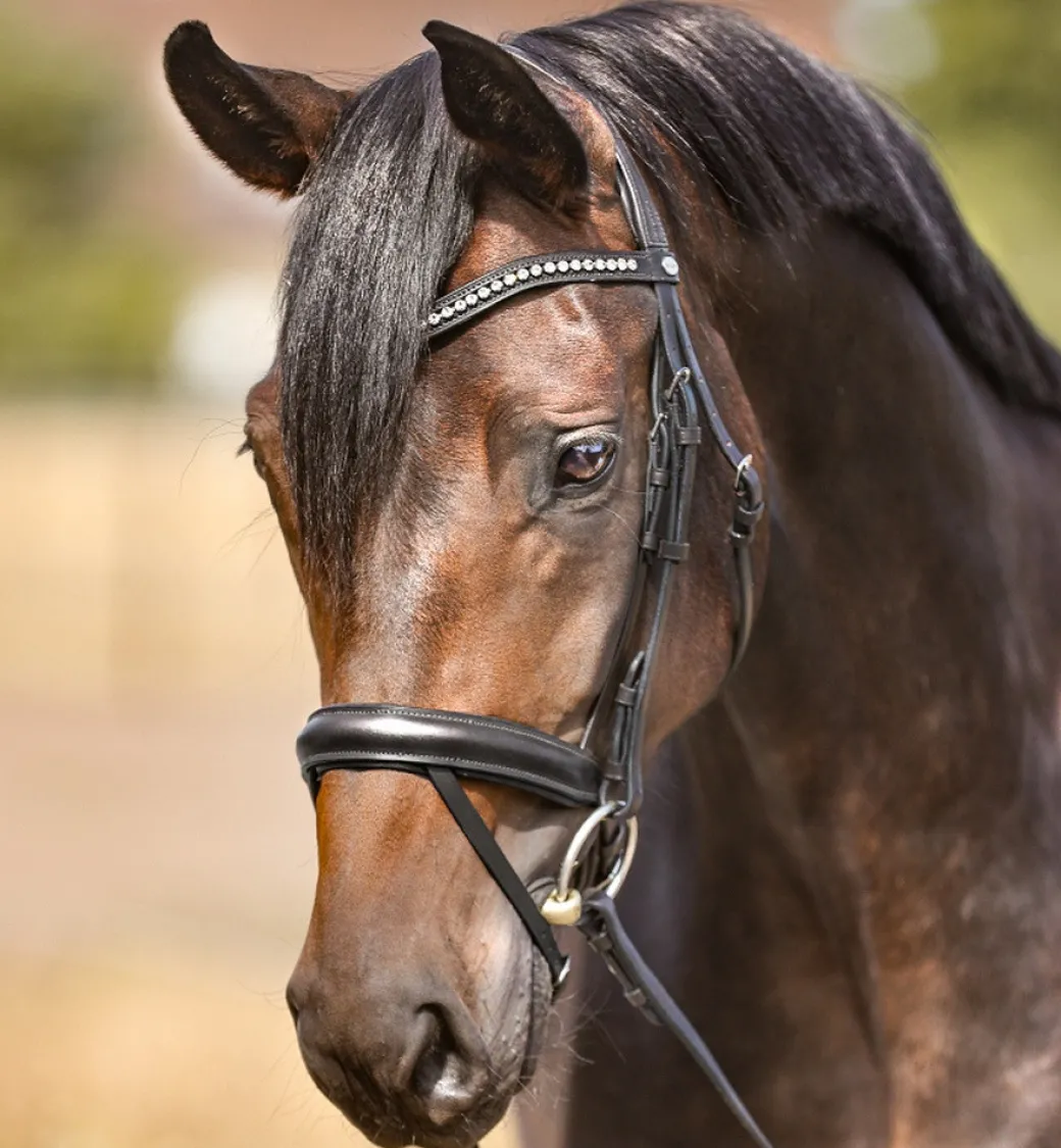 Kavalkade Diana Snaffle Bridle