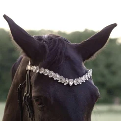 Kavalkade Exquisite Browband