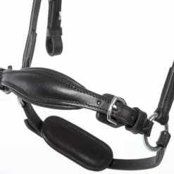 Kavalkade Fiala Drop Noseband Bridle