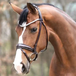 Kavalkade Florina Rolled Snaffle Bridle