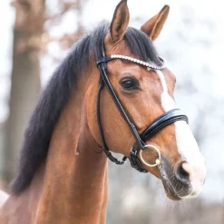 Kavalkade Florina Rolled Snaffle Bridle