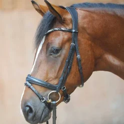 Kavalkade Ivonne Convertible Double Bridle