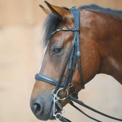 Kavalkade Ivonne Convertible Double Bridle