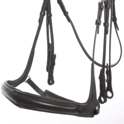Kavalkade Ivonne Convertible Double Bridle