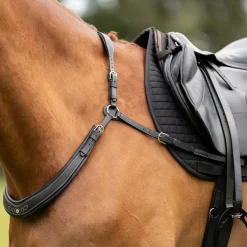 Kavalkade Jerome 2-Point Breastplate