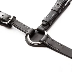 Kavalkade Jerome 2-Point Breastplate