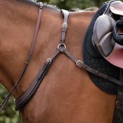 Kavalkade Jerome 2-Point Breastplate
