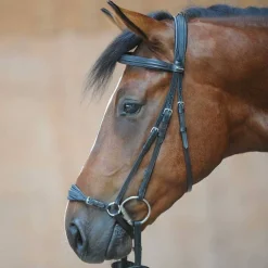Kavalkade Levana Drop Noseband Bridle