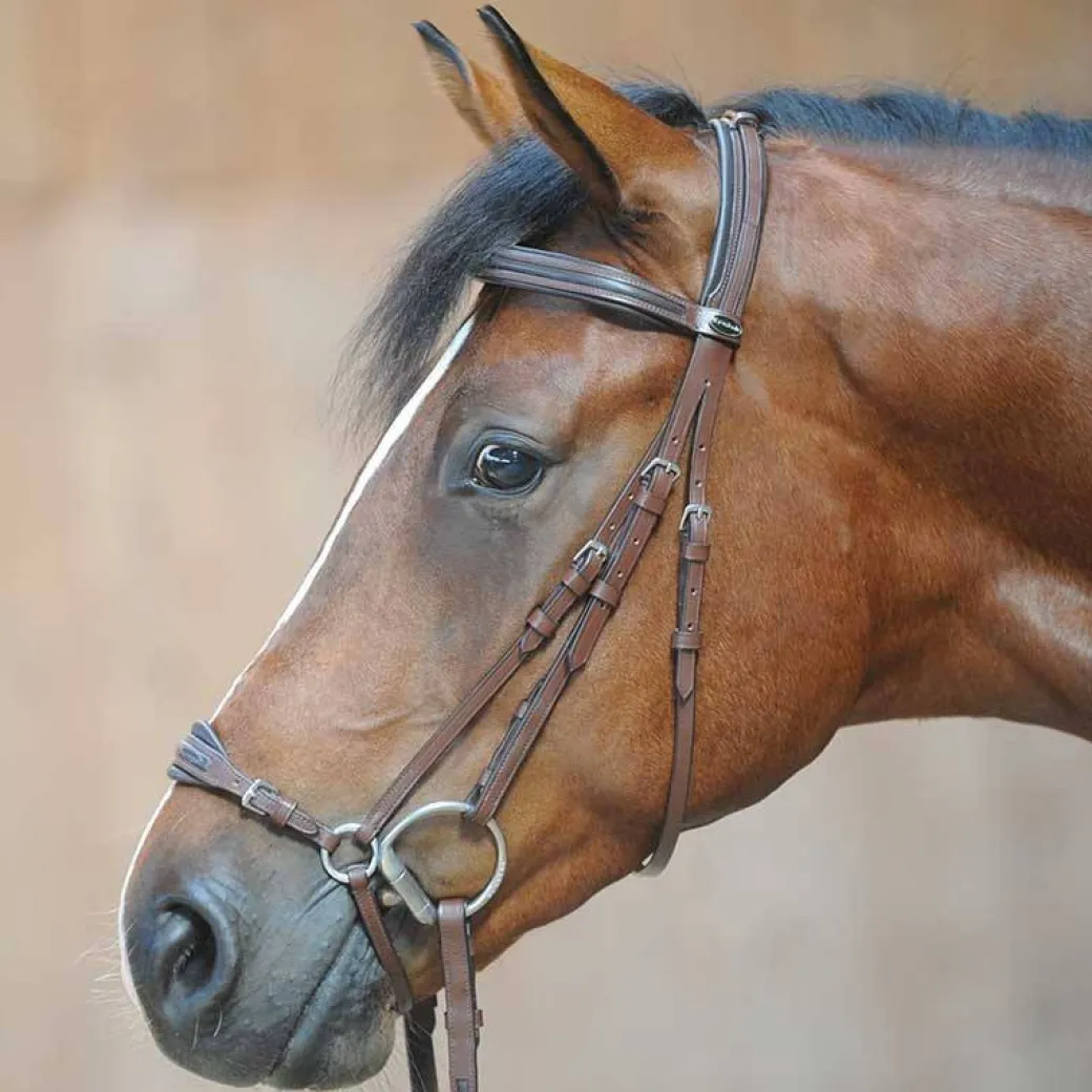 Kavalkade Levana Drop Noseband Bridle