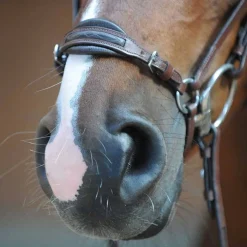 Kavalkade Levana Drop Noseband Bridle