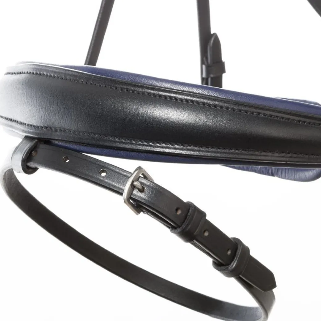 Kavalkade Ocean Snaffle Bridle