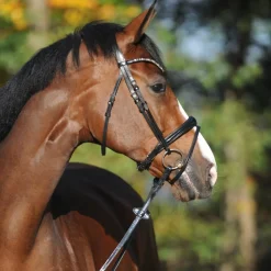 Kavalkade Reyna Snaffle Bridle