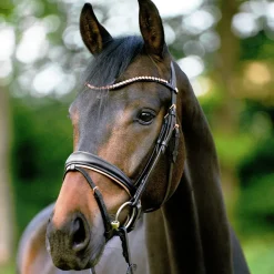 Kavalkade Rose Snaffle Bridle