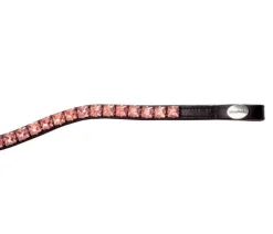 Kavalkade Square Crystal Curved Browband